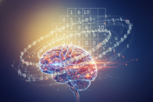 מה קורה במוח כשאנחנו פותרים סודוקו (Attention, Pattern Recognition)